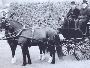 Horse drawn carriage